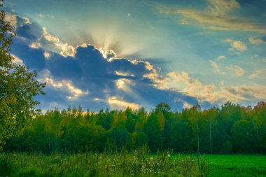 Güzel sonbahar manzara arkadan aydınlatmalı. 