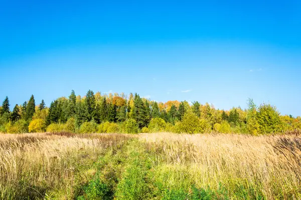 Landskap i början av hösten. — Stockfoto
