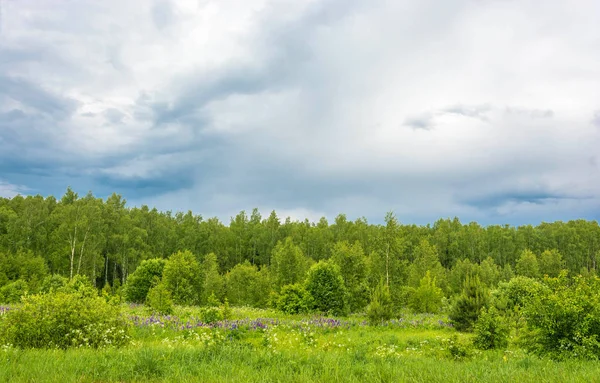 Sommerlandschaft an einem bewölkten Tag. — Stockfoto