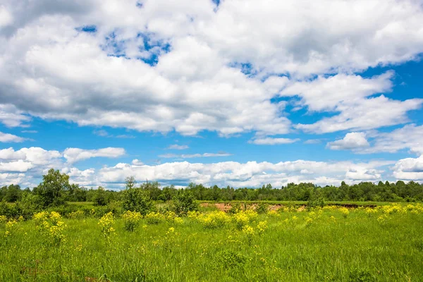 Paisagem de verão com nuvens . — Fotografia de Stock