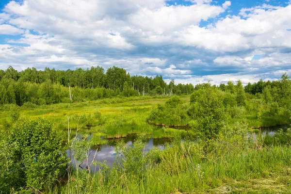 Sommerlandschaft mit Wolken. — Stockfoto