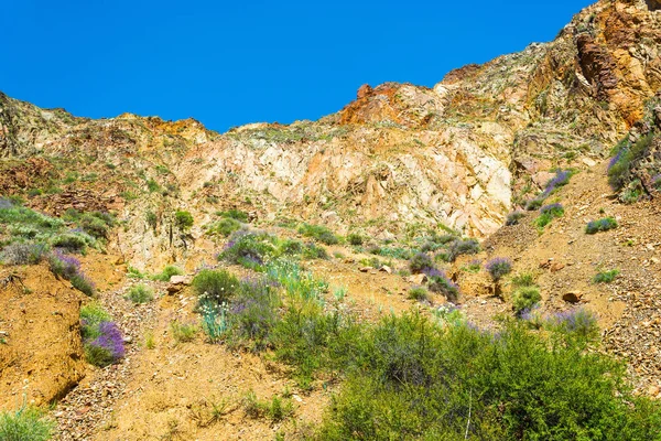 Beautiful mountain landscape in the Aeolian mountains, Kyrgyzsta — Stock Photo, Image