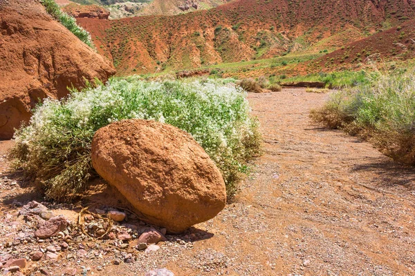 Gyönyörű hegyi táj, a Lipari-hegység, Kyrgyzsta — Stock Fotó