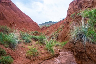 Güzel dağ manzarası Aeolian dağlarda, Kyrgyzsta