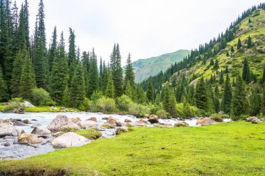 Çalkantılı bir nehir, Kırgızistan ile dağ manzarası. 