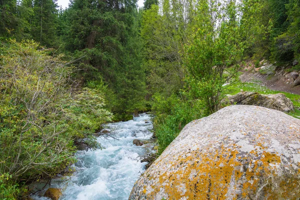 Pequeño río montañoso salvaje, Kirguistán . — Foto de Stock