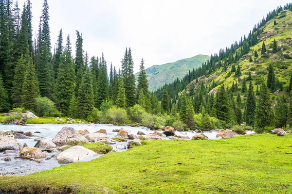 Paesaggio montano con un fiume turbolento, Kirghizistan . — Foto Stock