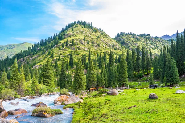 Paesaggio montano con un fiume turbolento, Kirghizistan . — Foto Stock