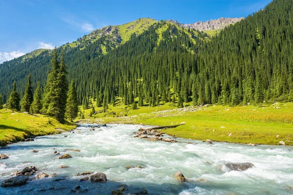 Paesaggio montano con un fiume turbolento, Kirghizistan . — Foto Stock