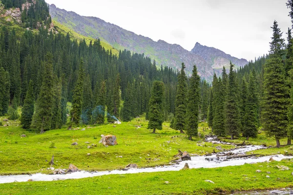 Paisaje montañoso con el río áspero, Kirguistán . — Foto de Stock