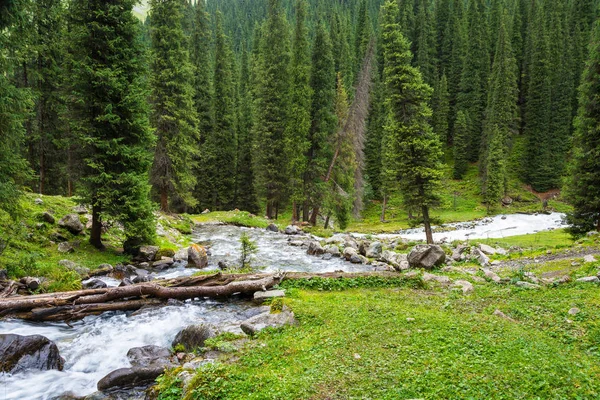 Paisaje montañoso con el río áspero, Kirguistán . — Foto de Stock