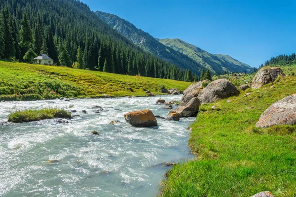 Paisaje con río de montaña . — Foto de Stock