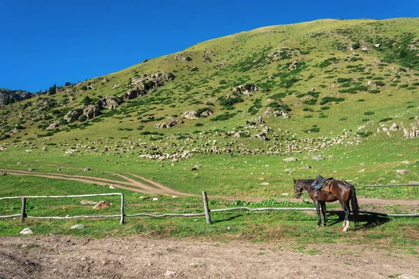 Beautiful mountain landscape with horses in the foreground, Kyrg — Stock Photo, Image