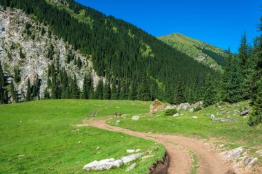 Turistler bir dağ yolu üzerinde Kırgızistan. 