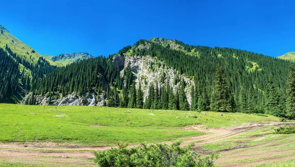 Панорама гірський ландшафт, Киргизстан. — стокове фото