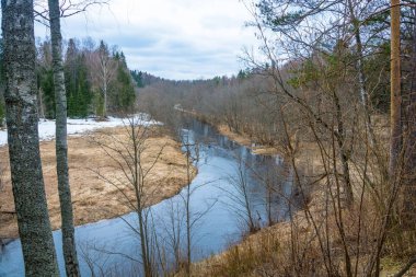 Rusya'nın bahar peyzaj. 