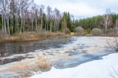Güzel bahar yatay, küçük bir göl buzla kaplı. 