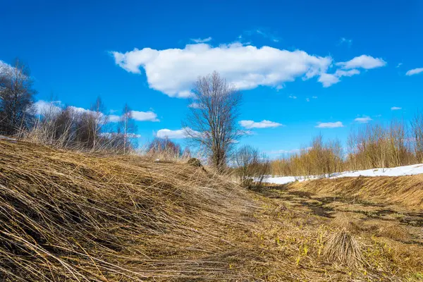 Frühlingslandschaft im zentralen Teil Russlands. — Stockfoto