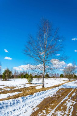 Rusya'nın bahar peyzaj. 