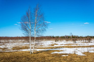 Rusya'nın bahar peyzaj. 