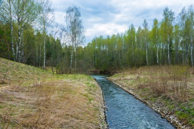 nehir manzara güzel bahar. 