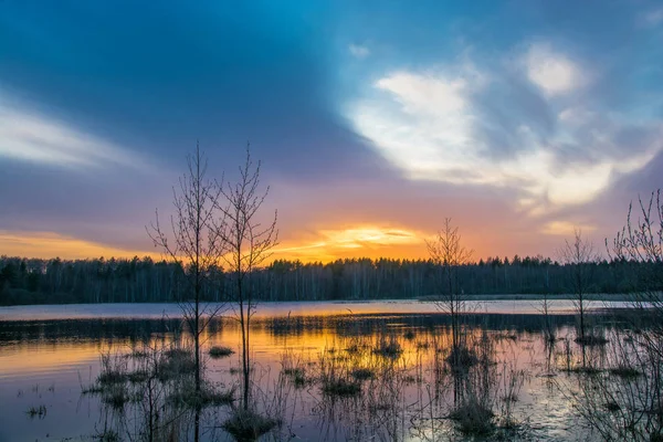 Pôr do sol no pequeno lago da floresta . — Fotografia de Stock