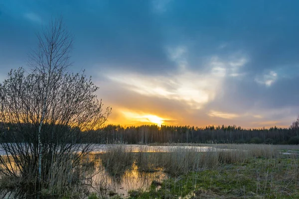 Puesta de sol en el pequeño lago del bosque . — Foto de Stock