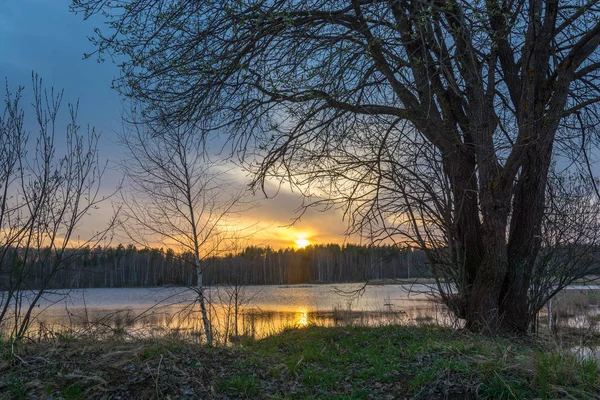 Pôr do sol no pequeno lago da floresta . — Fotografia de Stock