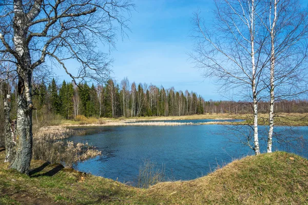 Paisaje con un pequeño lago, Rusia . — Foto de Stock