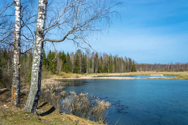 Paisaje con un pequeño lago, Rusia . — Foto de Stock
