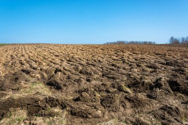 Büyük bir alan sürülmüş. 