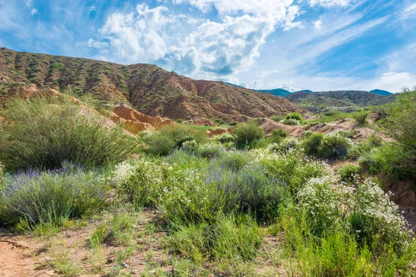 Paisagem montanhosa no cânion Conto de fadas, Quirguistão . — Fotografia de Stock