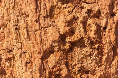 Kuru zemin güzel dokusu. 