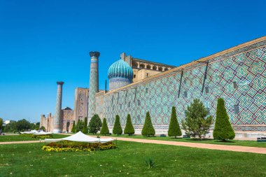 Kavurucu güneşten korunaklı parlak çiçek Samarkand, U