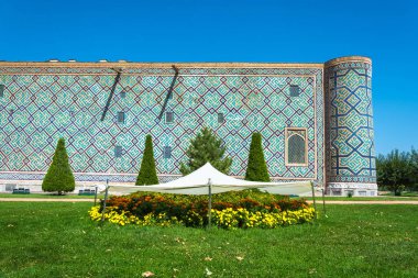 Kavurucu güneşten korunaklı parlak çiçek Samarkand, U