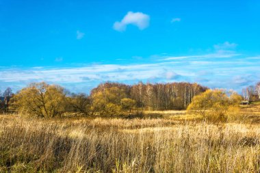 Güzel bir sonbahar manzara. 