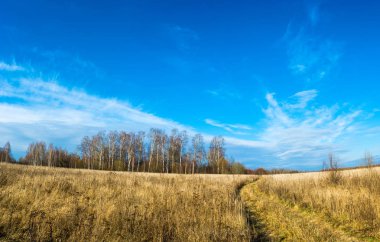 Güzel bir sonbahar manzara. 
