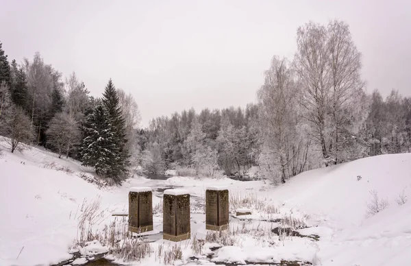 Güzel bir kış manzarası. 
