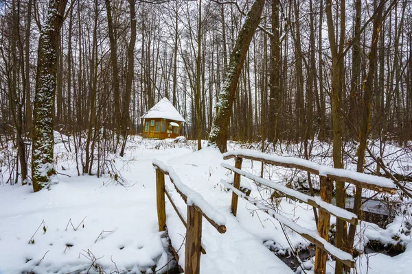 Heilige Quelle der großen Märtyrerin Paraskeva im Winterwald. — Stockfoto