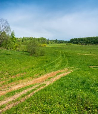 St Michael köyü çevresinde manzara, Ivanovo oblast,