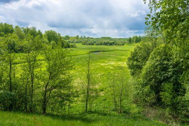 Rusya'nın Orta kesiminde güzel manzara. 