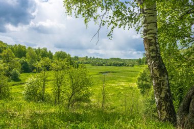 Rusya'nın Orta kesiminde güzel manzara. 