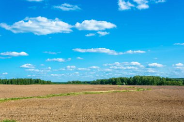 Bir yol sürülmüş alan aracılığıyla. 