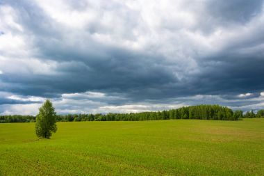 Yeşil büyük alanında vuruyor. 