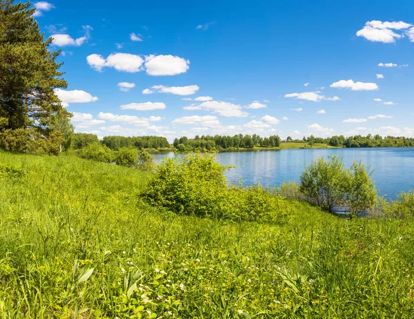 Schöne Sommerlandschaft. — Stockfoto