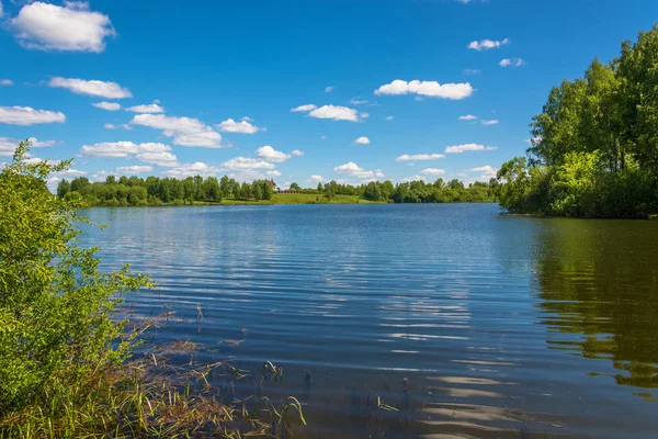 Schöne Wasser-Sommer-Landschaft. — Stockfoto