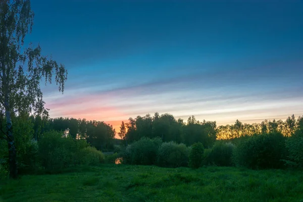 Красивый закат над зеленым лесом . — стоковое фото