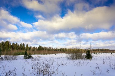 Güneşli kış günü itibariyle kış manzarası.  