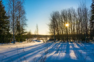Kış manzara arka ışık. 