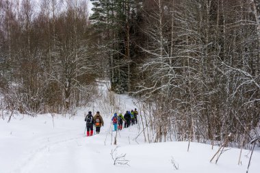 Turistler kış ormandaki küçük bir grup. 